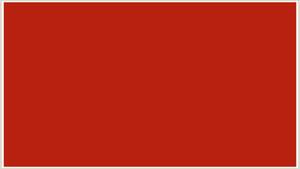 Jeunes, Militants et Sarkozystes