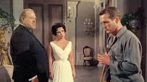 Cat on a Hot Tin Roof