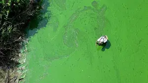 Rivercide: The Secret Six