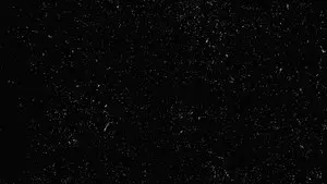 Ninja il Padrino - Parte II