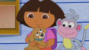 Bark, Bark to Play Park