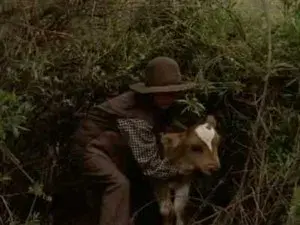 The Cattle Drive (2)