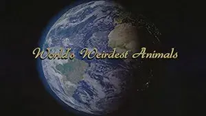 WORLD'S WEIRDEST ANIMALS
