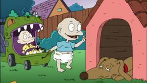 The Way More Things Work