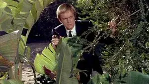 The Take Me to Your Leader Affair