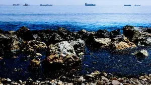 Oil Spill of The Century