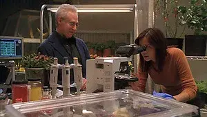 Outbreak (a.k.a. Escalation)