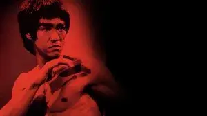 Bruce Lee: The Legend