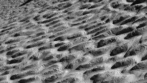 Bumps: A Mogul Skiing Documentary