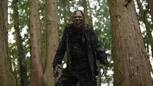 Forest of the Damned