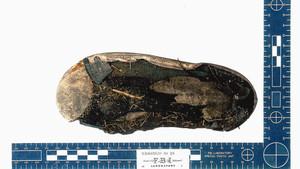 What Ever Happened to Mary Day?