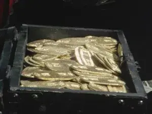 Dead Fighting! Gold Coin Scramble