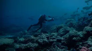 Night on Earth: Shot in the Dark