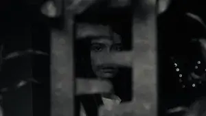 The Sounds She Knows