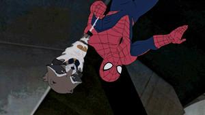 Back in the New York Groove