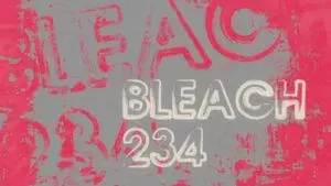 Renji Surprised?! The Two Zabimarus