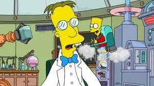 Bart 'N' Frink