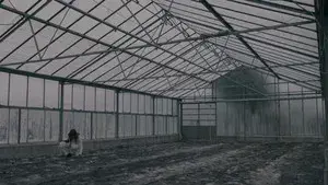 BLOOM - A Dystopian Short Film