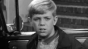 The Case of the Wandering Widow