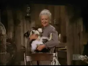 The Trouble with Amy