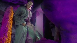 What Are Little Girls Made Of?