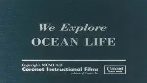 We Explore Ocean Life