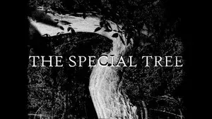 THE SPECIAL TREE