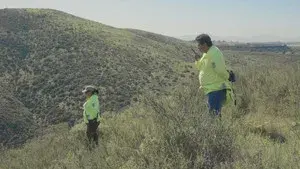 Spare My Bones, Coyote!