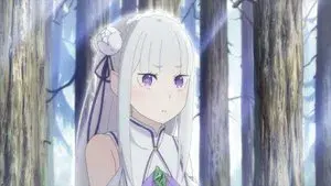 A Journey Through Memories