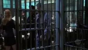 What You See Is What You See