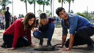 Who Let the Dog Out ('Cause Now It's Stuck in a Cistern)