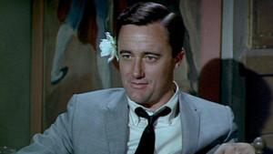 The Very Important Zombie Affair