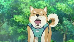 My Beloved Dog Pan-kun Is a Good Boy