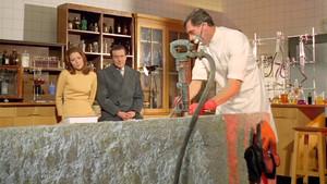 The Bird Who Knew Too Much