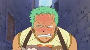 Mothers are Strong! Zoro's Hectic Household Chores!