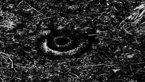 THE MISSING EYE OF JESUS CHRIST