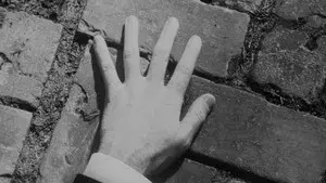 The Garden, the Artist, & the Vampire