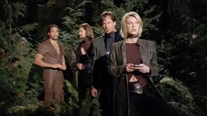 Deep Midnight's Voice