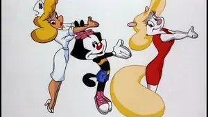 Dot - The Macadamia Nut