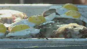 Pinn-Oak Ridge Farms | Black Earth Meats