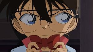 The Window of the Girls Academy