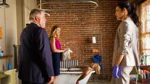 If You Can't Stand the Heat