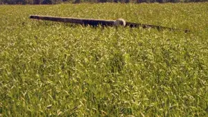 Maintenance Mistakes