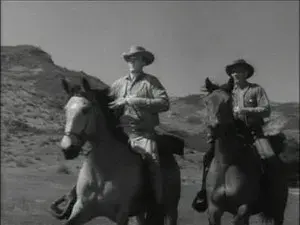 The Quest for Asa Janin