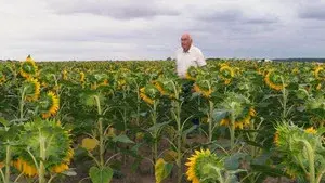 Beau comme un tracteur