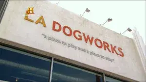 LA Dogworks