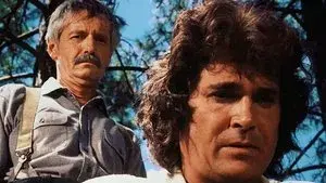 Journey In The Spring (1)