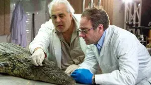 Das Krokodil - Innenansichten eines Kraftpakets