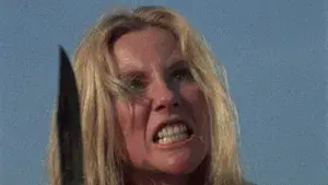 The Centerfold Girls