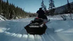 Blood, Sweat and Fear